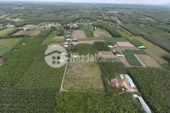 Em có lô đất giá rẻ khu dân cư đông xây dựng nhà trọ giá bao sổ 450tr có 300m2 thổ cư