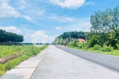 Rẻ, đẹp nhất khu vực, mặt tiền đường nhựa liên huyện dh 10, minh lập, chơn thành