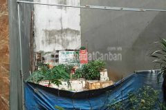 Đất ngô thì nhậm plô oto tránh, gần chợ bông đỏ, 50m2 giá 5.8 tỷ