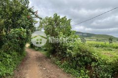 Chỉ 2tỷ ace sở hữu ngay khuôn đất rộng đẹp, ace chốt ngay đi ạ