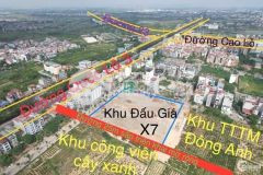 Đẹp hiếm giá trị đất lô góc vườn đào uy nỗ đông anh dt 142m² mt 8m giá 27 tỷ