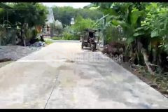 Về quê sống bán 3 sào vườn trái cây chia làm 3 sổ gần uỷ ban nhân dân 368 triệu