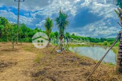 Chính chủ bán mảnh vườn giáp sông chò khánh vĩnh