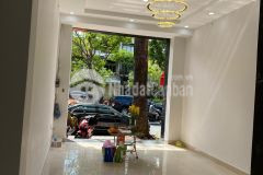 Bán nhà mặt tiền hồng bàng 9pn thang máynội thất đẹp cạnh bvhùng vương plaza kinh doanh vip