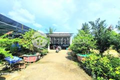 Bán hơn 3 sào đất vườn có thổ cư giá 368 triệu