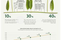 Elysian các căn studio 1pn đang được lựa chọn rất nhiều vì tính thanh khoản cao