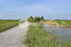 2,2 công đất thổ vườn đường ôtô gần kdl sinh thái vườn xanh, thị trấn vàm láng, gò công đông, tg