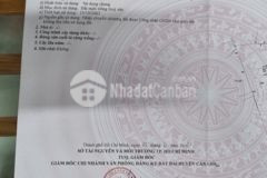 Bán lô đất nông nghiệp xã an thới đông