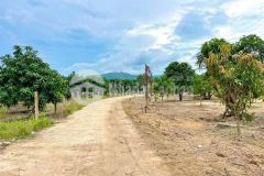 Bán đất vườn suối tiên giá rẻ mặt đường bê tông 5m