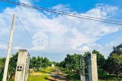 Cần bán gấp hơn 3 sào đất nhà vườn giá 468 triệu