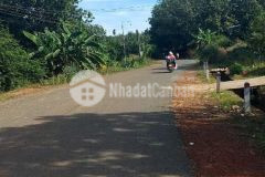 10 mét ngang mặt tiền đường nhựa liên xã tân quan, hơn 1100m2, chỉ 590tr