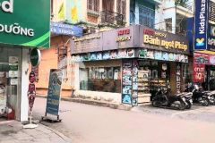 Mặt phố xala phân lô ô tô tránh,100m ra phùng hưng.kinh doanh lô góc thoáng mát,sổ đỏ đẹp