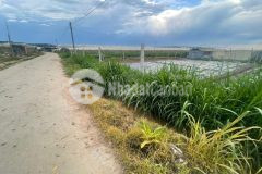 Hôm nay em lên cho cả nhà lô đất, chốt là có quà nhé