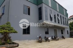 Chuyển nhượng đất qsd đất ở lâu dài và nhà xưởng