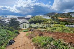 Tậu liền tay hơn 2 sào đất đẹp giá rẻ view thoáng