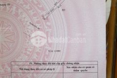 Nợ tiền ngân hàng cần bán gấp lô đất 318m2 có sẵn 146 m2 thổ cư giá bán 199 triệu