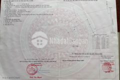 Cần bán đất trồng cây tại xã an thới đông, cần giờ.