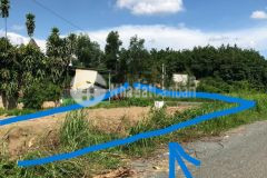 Tôi cần tiền cần bán lô đất 250 m2 giá 210 triệu