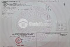 Bán lô đất cây lâu năm giáp rạch xã bình khánh, cần giờ