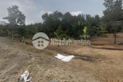 Bán đất nông nghiệp xã long hoà, cần giờ