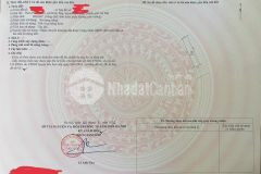 Chính chủ cần bán đất địa chỉ phú thịnh, xã minh phú, huyện sóc sơn, hà nội