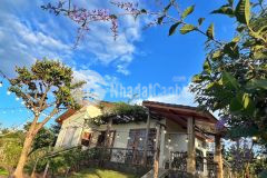 Palme villa nằm bình yên ở một khu vực hoàn toàn tách biệt của khu dân cư.