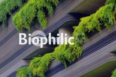 Lịch thanh toán đột phá của elysian biophic đầu tiên thủ đức