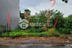 Vỡ nợ bán rẻ 136m2 31ha trâu quỳ, gia lâm, đường 15m. giá 85trm2.