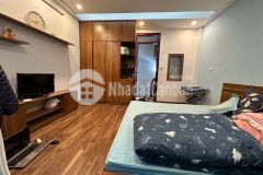 Hàng xóm nam đô phố trương định về ở ngay đón tết giá chỉ 4.x tỷ