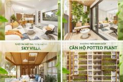 Mua ngay căn hộ tương lai giá hiện tại.