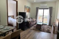 Căn hộ cao cấp đào tấn, ba đình, thang máy 163m2, 10 tầng, mt 12m, 45 tỷ.