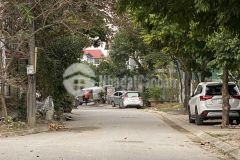 Biệt thự đông dư, gia lâm, lô góc. 200m2 mt 11m. đường 13m, vỉa hè giá 1xty.