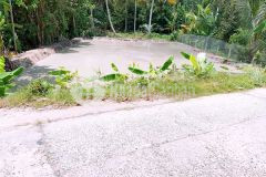 Nền thổ cư, nhơn ái, ngang chợ phong điền, lộ ôtô tới nền