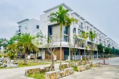 Căn góc vườn hoa siêu hiếm cạnh chung cư sắp xây dựng