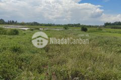 Lô đất đẹp vuông vức mặt tiền đường kdc ấp 5 phước vân cần đước la shr 0932660780 0931553378