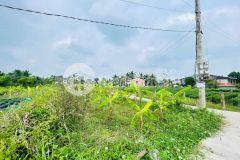 Đất mỹ phong, mỹ tho sổ hồng sẵn full thổ cư chỉ 2xx triệu