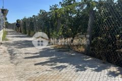 Đất vườn, huyện lộ 89, tân mỹ chánh, mỹ tho giá rẻ