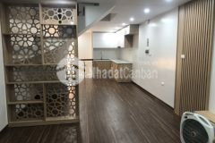 Cần bán nhà giảng võ ba đình lô góc kinh doanh oto 43m2, mt 3.9m, giá 11.3 tỷ lh 0868868383