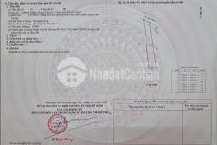 Bán lô đất 3,350m2 cây lâu năm tại xã bình khánh, cần giờ