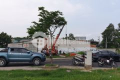 Mua ngay nhận sổ liền tay khánh bình smarthome