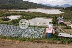 Ace nhanh tay sở hữu ngay cho mình lô đất đẹp với giá tốt nhất nhé