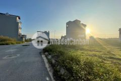 Cần bán đất dịch vụ song phương, 84m, gần vành đai 4, chỉ 4.9 tỷ.