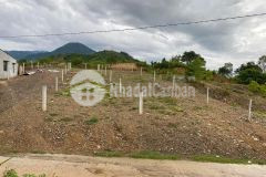 Bán đất khánh phú full thổ cư mặt đường bê tông liên thôn 8m