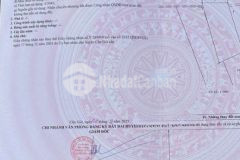 Bán đất trồng cây lâu năm giá thị trường tại xã long hoà, huyện cần giờ