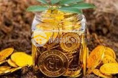 Đất vàng trao tay, nhận ngay ưu đãi