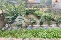 Chính chủ bán 52m2 thôn lại đà, đông hội với 2 mặt tiền nở hậu. nhỉnh 2,1 tỷ.