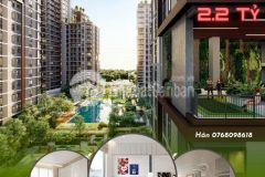 Chọn elysian đại cát mừng năm mới chỉ với 50tr