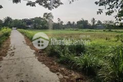 Nền trần đề 500m2 mặt tiền lộ dal giá chỉ 2xx