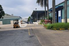 Cho thuê toàn bộ nhà máy tại đường ql 39 khoái châu. hưng yên