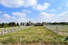 Đất mặt tiền nhựa giá rẻ. tân mỹ chánh